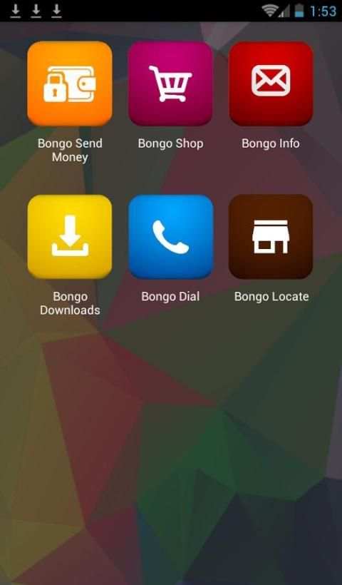 Bongo screenshot 2