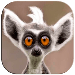 Imagenes chistosas WhatsApp icon