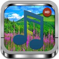 Nature Relaxing Music on 9Apps