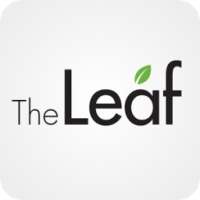 The Leaf on 9Apps