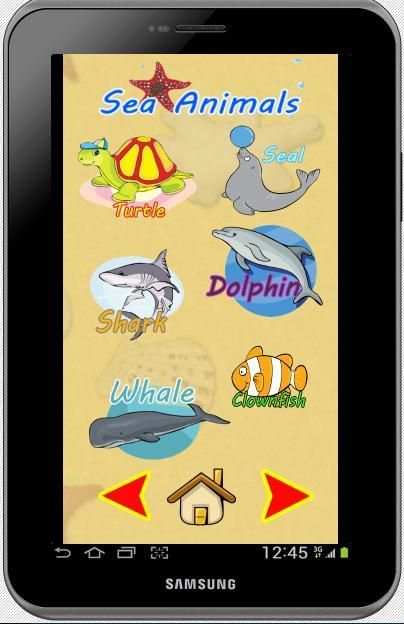 Sea Animals & Shark Fishing screenshot 2