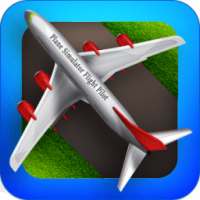 Самолет симулятор полета