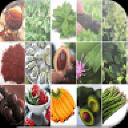 Powerful Sex Foods Stimulant icon