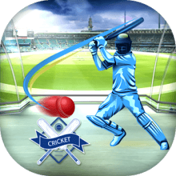 ikon Cricket Scorecard