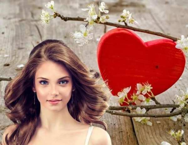 Photo Background Changer स्क्रीनशॉट 2