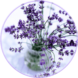 Лаванда обои HD фон иконка