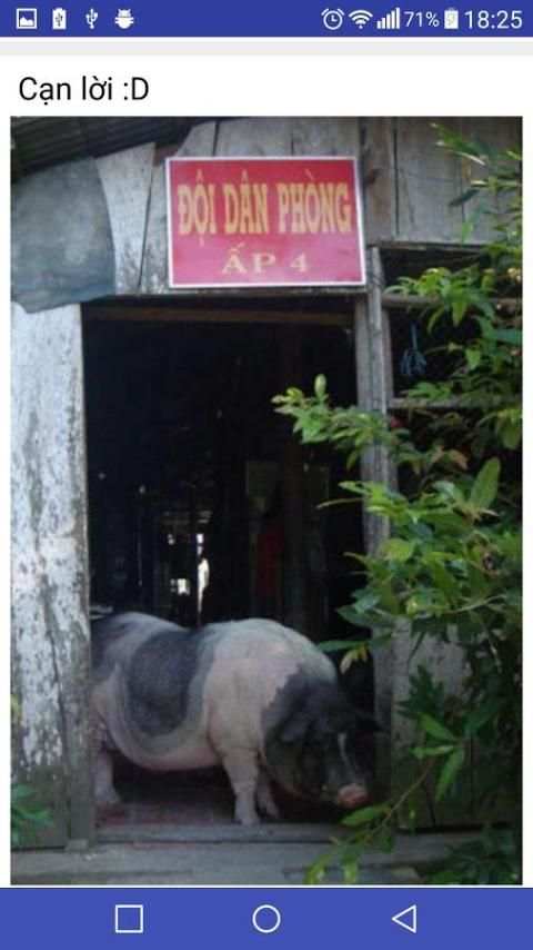 Hài chất स्क्रीनशॉट 1