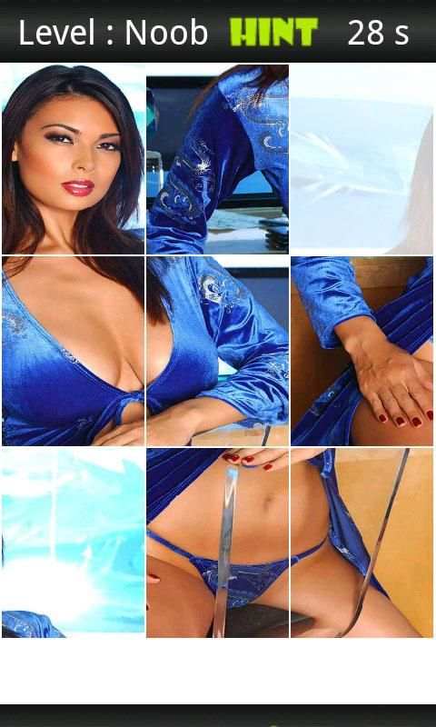 Tera Patrick Porn XXX Puzzle screenshot 4