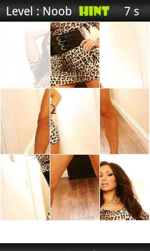 Sandee Westgate Porn Puzzle screenshot 3