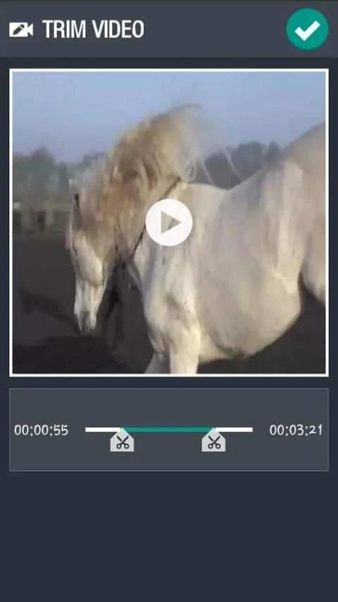 Video Editor 5 تصوير الشاشة