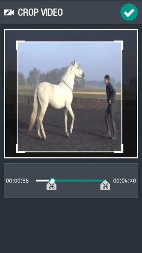 Video Editor скриншот 3