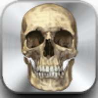 Wifi Password Breaker