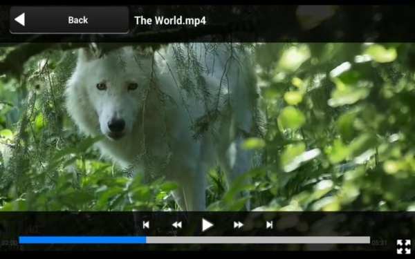 Max Player - Video Player 1 تصوير الشاشة