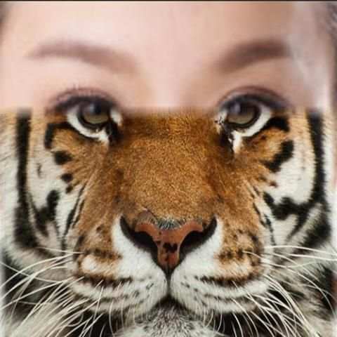 Tiger - Animal Face Maker screenshot 6