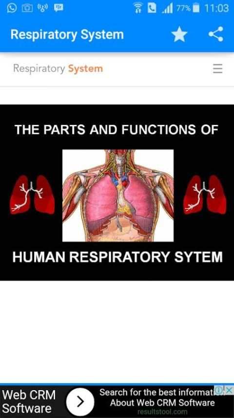 Respiratory System 3 تصوير الشاشة