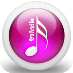Never Forget You Song أيقونة