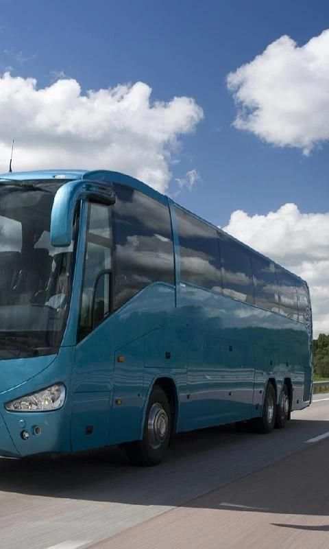 Jigsaw Bus Scania IrizarCentur screenshot 3