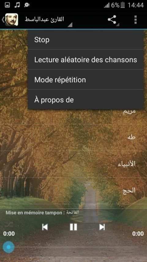 القران الكريم بصوت عبدالباسط screenshot 1