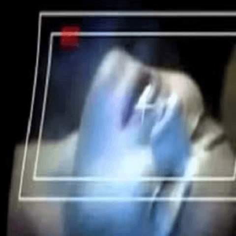 Poonam Pandey Sex Videos screenshot 1
