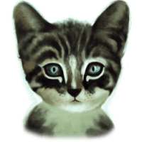 Cute Live Wallpaper on 9Apps