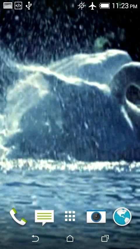 Swans Video Wallpaper screenshot 3
