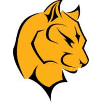 VPN Tube (totally Free)