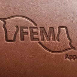 FEM App أيقونة