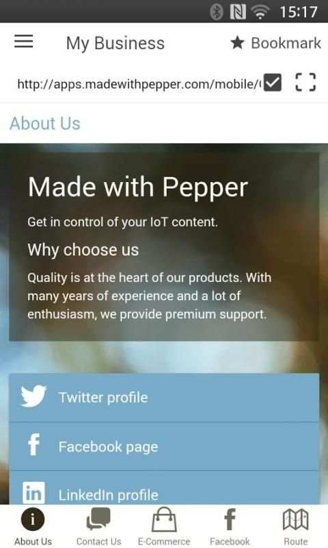 App Browser screenshot 3
