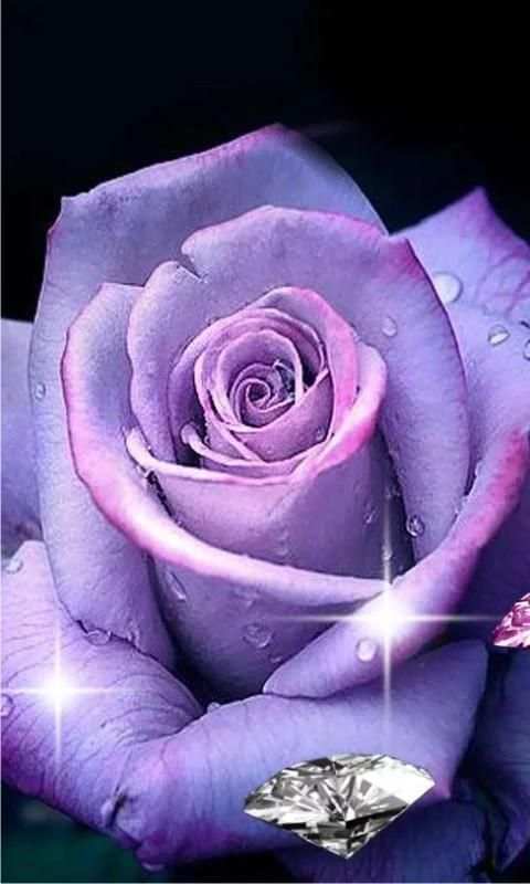 Roses Diamonds live wallpaper screenshot 5
