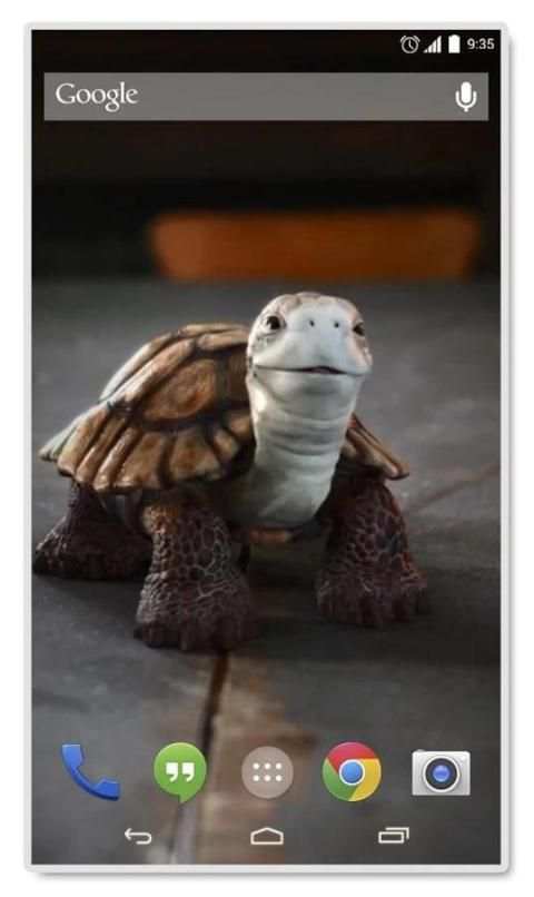 Talking Turtle Live Wallpaper 4 تصوير الشاشة