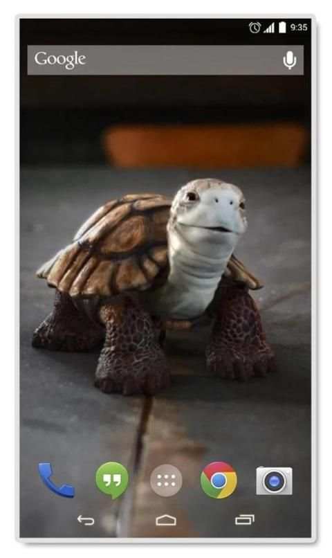 Talking Turtle Live Wallpaper скриншот 2