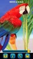 Birds Wallpapers स्क्रीनशॉट 3