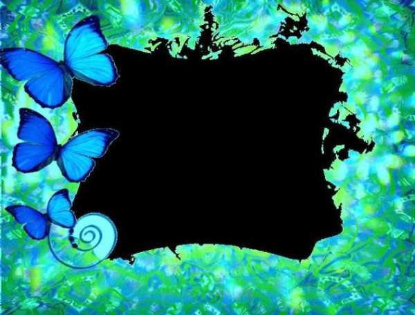 Butterfly Photo Frames screenshot 6