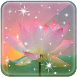 Lotus Live Wallpaper new иконка