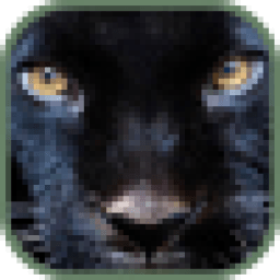 Живые обои Пума icon