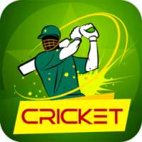 Cricket Rivals 3D