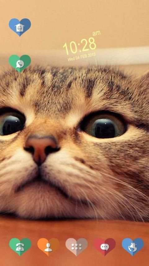 The Funny Cat screenshot 3