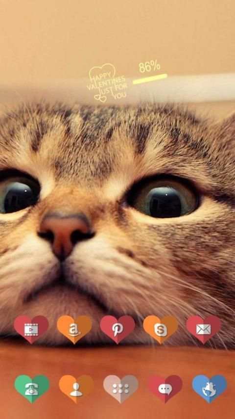 The Funny Cat स्क्रीनशॉट 1