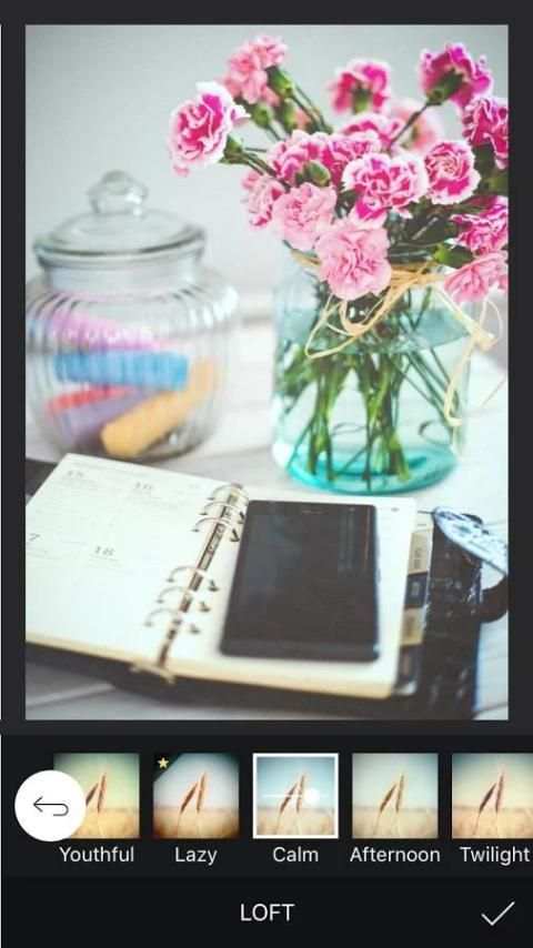 Cam LOFT by Camera360 screenshot 4