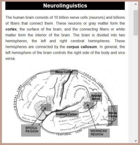Basic Linguistics screenshot 2