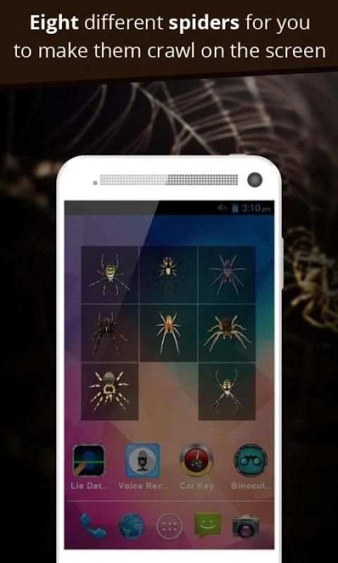 Spider Prank : Funny Joke screenshot 1