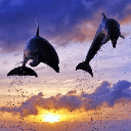 Дельфины обои иконка