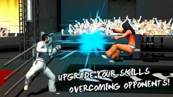 Karate Fighting Tiger 3D screenshot 2