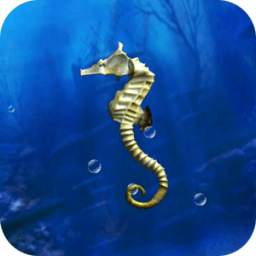 Seahorse simulation game
