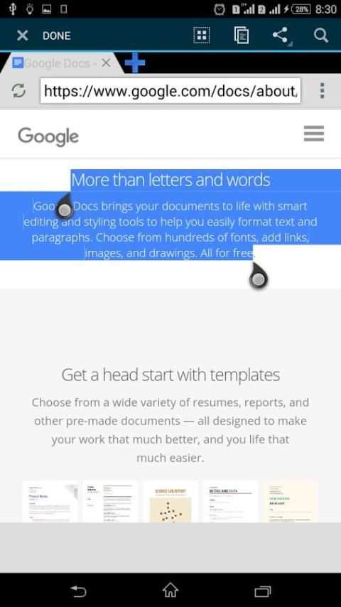 Falcon Browser screenshot 2
