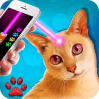 Laser pointer. cats