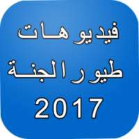 طيور بيبي 2017