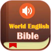 ✟ World English Bible (Audio) on 9Apps
