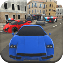 Cops and Thieves: Hot Pursuit icon