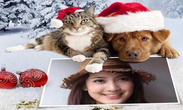 Christmas Photo Frame screenshot 5